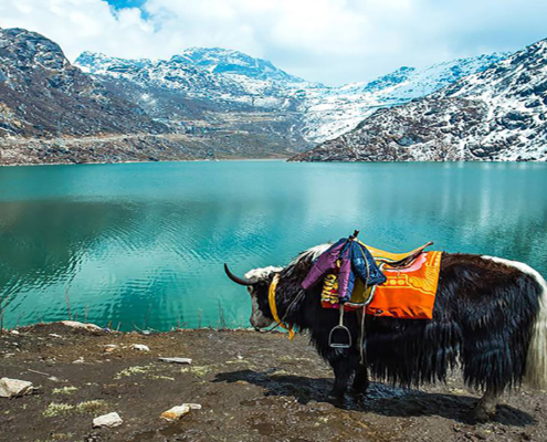 SEVEN SISTER OF INDIA