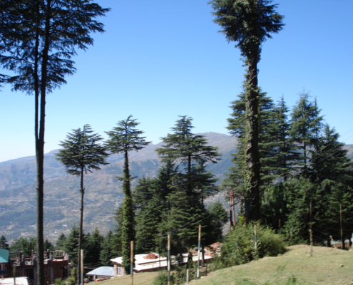 Patnitop_hill